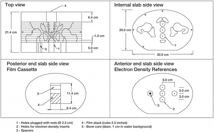CIRS 002PRA Diagram