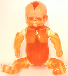Whole Body Newborn Baby X-Ray Phantom