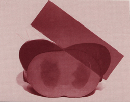 Cross Section of Phantom with Unconfined Breast Shape