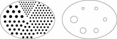 Elliptical Jaszczak Phantom™ Target Map