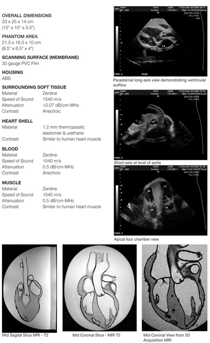 Cardiac Phantom