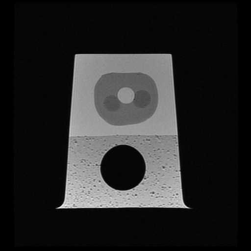CIRS 053L MRI T2