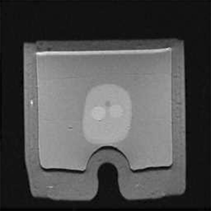 CIRS 070L MRI 1