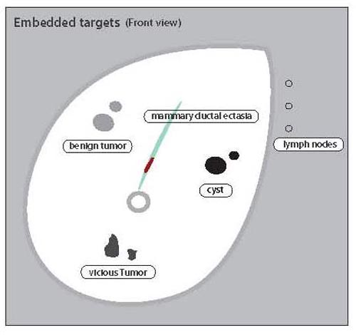 Phantom Target Layouts