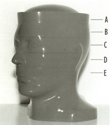 Anthropomorphic CT Head Phantom RSD RS-250