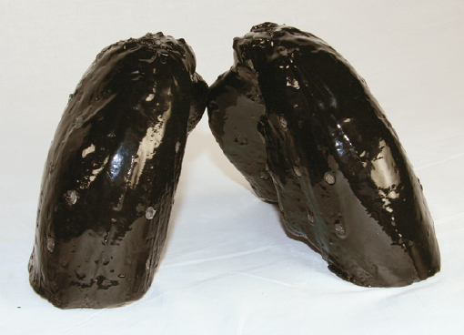 RS-500 Lungs