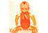 PH-50 Whole Body Newborn Baby X-Ray/CT Phantom Kyoto Kagaku