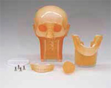 Dental Radiography Head Phantom - PH-47 - Kyoto Kagaku