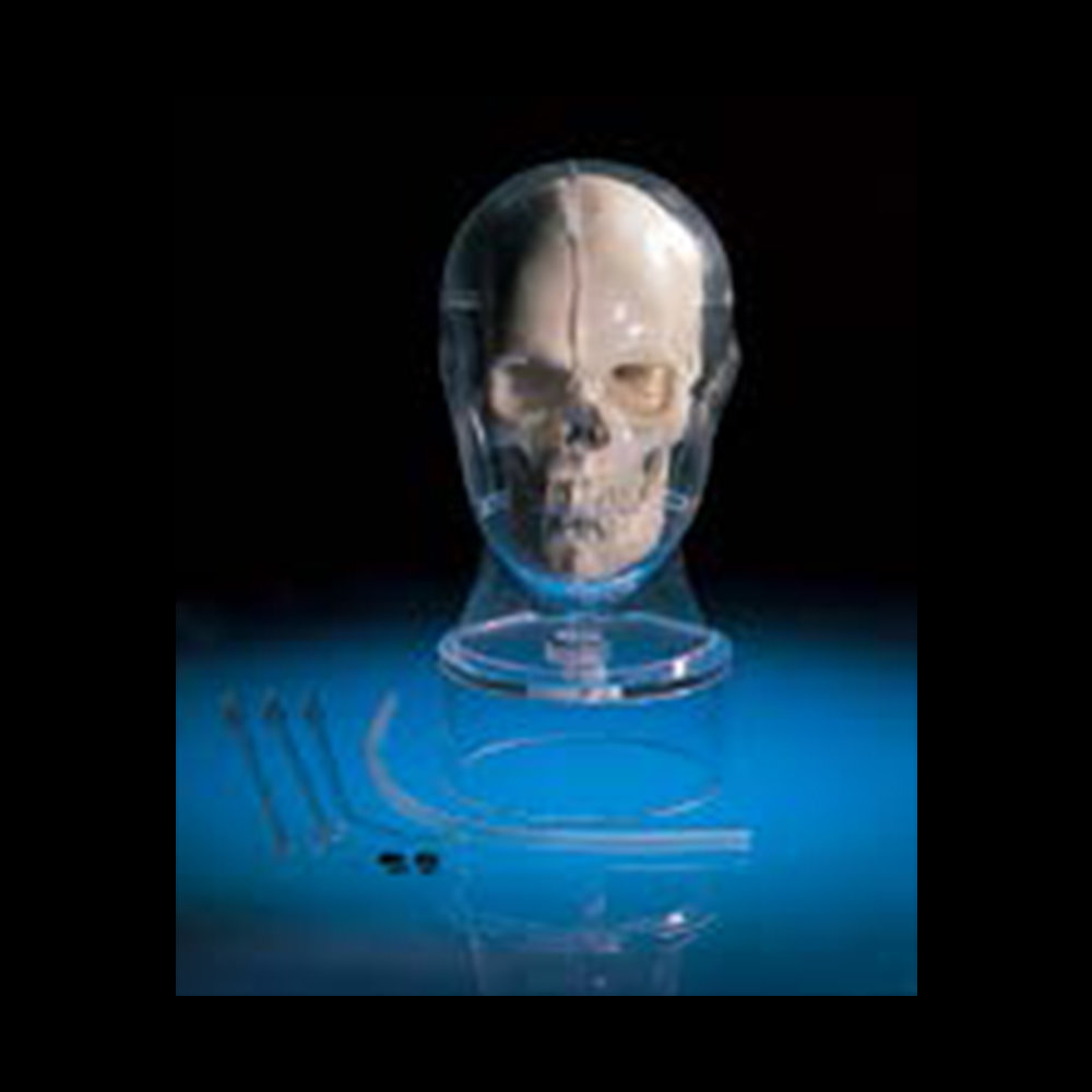 MRI/NM Head Phantom BHC - PH-34 - Kyoto Kagaku