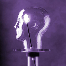 RSVP Phantom™ Head