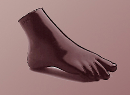 Foot - Plantar Flexion