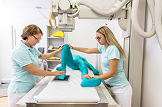 Erler Zimmer Natural Bone Full Body X-Ray Phantom - 7200