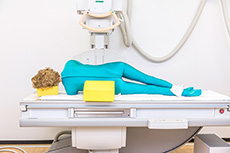 Erler Zimmer Natural Bone Full Body X-Ray Phantom - 7200