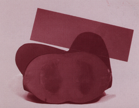 Cross Section of Phantom with Breasts Reshaped by Treatment Brassiere