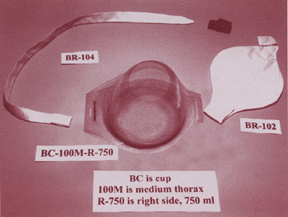 Exploded View of Typical Brassiere