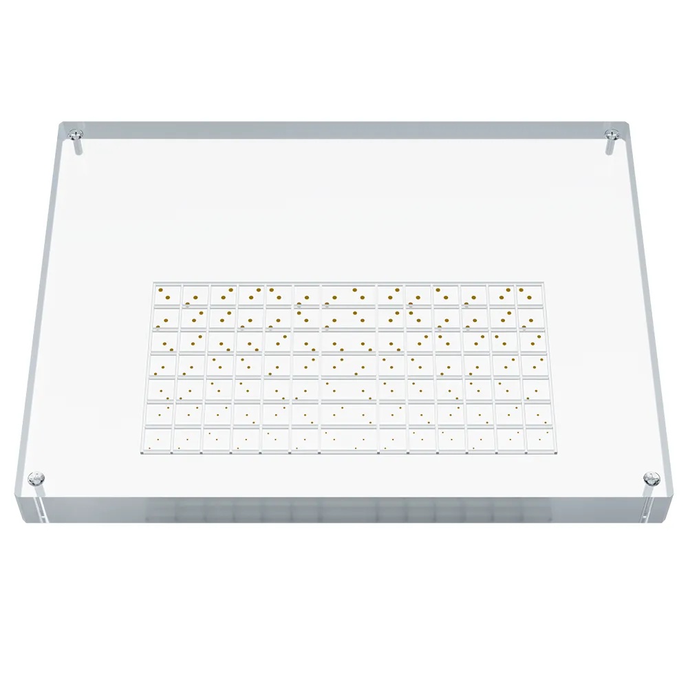 A rectangular transparent plate containing gold discs organized in a 7x14 matrix.