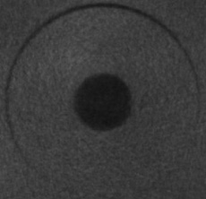 SedentexCT IQ Dental CBCT - CT Scans Pixel Intensity (Air)