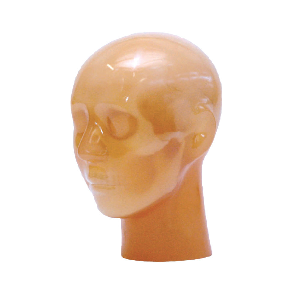 CT Stroke Head Phantom KH - PH-77 - Kyoto Kagaku