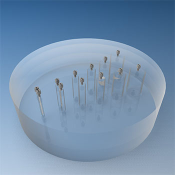 Pro-CT AAPM - Pro-Project - 04-501 - 5
