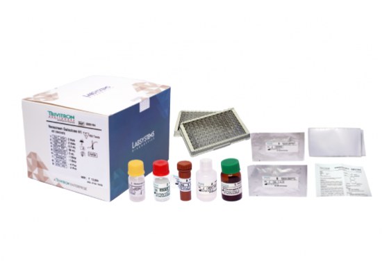 Neonatal Galactose - product view 1
