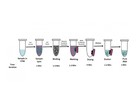 RNAsure Covid19 RNA Extraction Kit