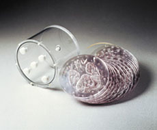 Hoffman 3-D Brain Phantom