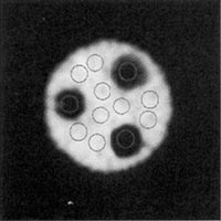 Attenuation Correction Test 2