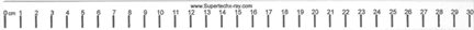 Supertech 30 cm Disposable Radiopaque Ruler