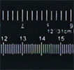 X-Ray of 12"/31cm Ruler
