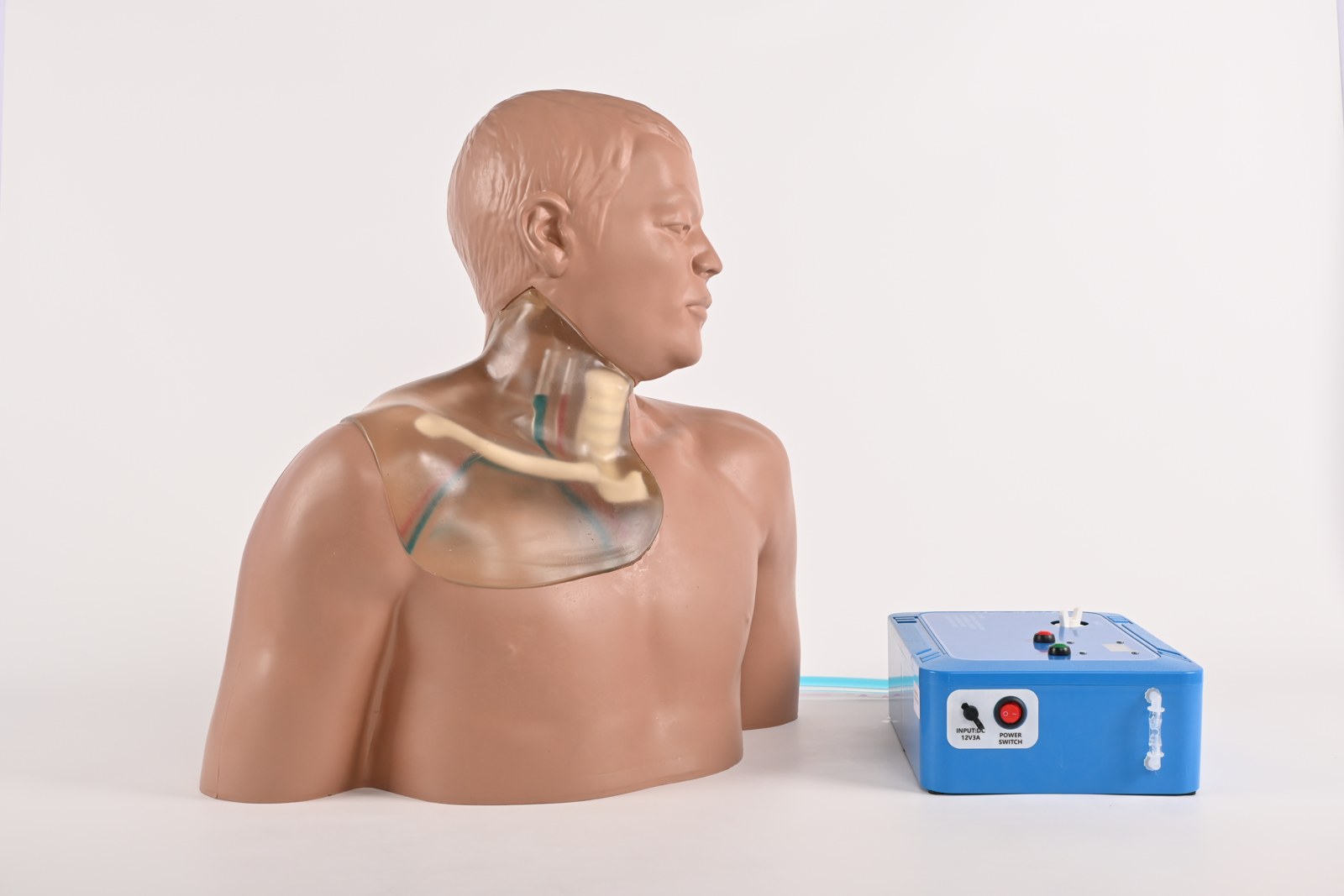 Central Venous Catheter Ultrasound Trainer - Transparent, Automatic Pump - PC-BPE007.03