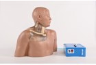 Central Venous Catheter Ultrasound Trainer - Transparent, Automatic Pump - PC-BPE007.03