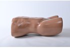 TAP Nerve Block Ultrasound Training Model - PC-BPE015