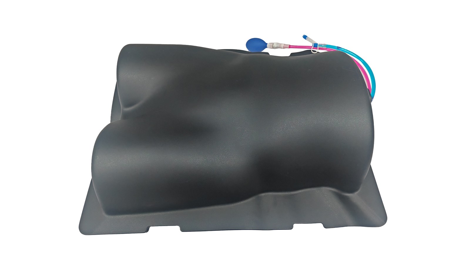 Paracentesis Ultrasound Trainer with Femoral Vessels and Nerves - PC-BPE020.01
