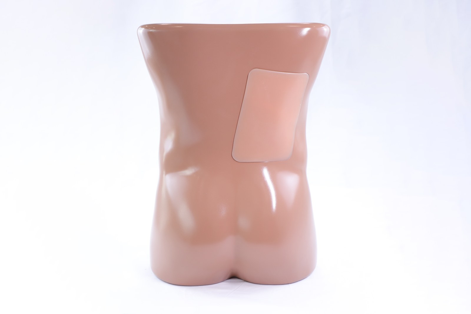 Renal Biopsy Ultrasound Training Model - PC-BPE022