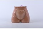 Percutaneous Umbilical Cord Blood Sampling Ultrasound Trainer - PC-BPE036