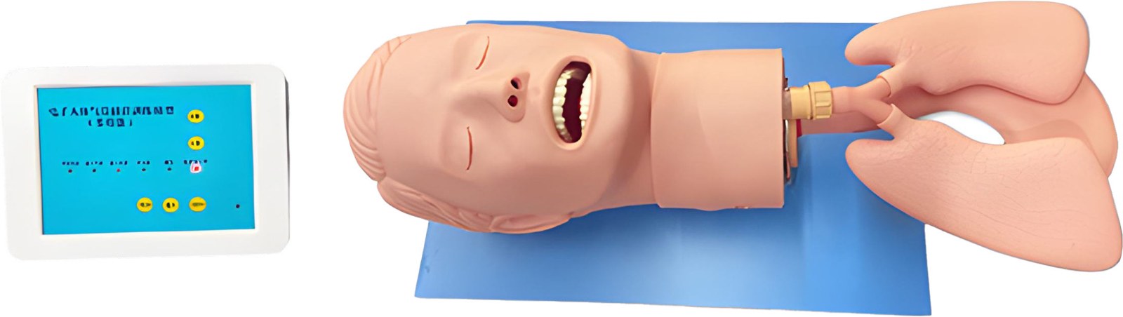 Airway Management Simulator - PC-CLE002.01