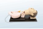 Adult Tracheal Intubation Training Model - PC-CLE002.02