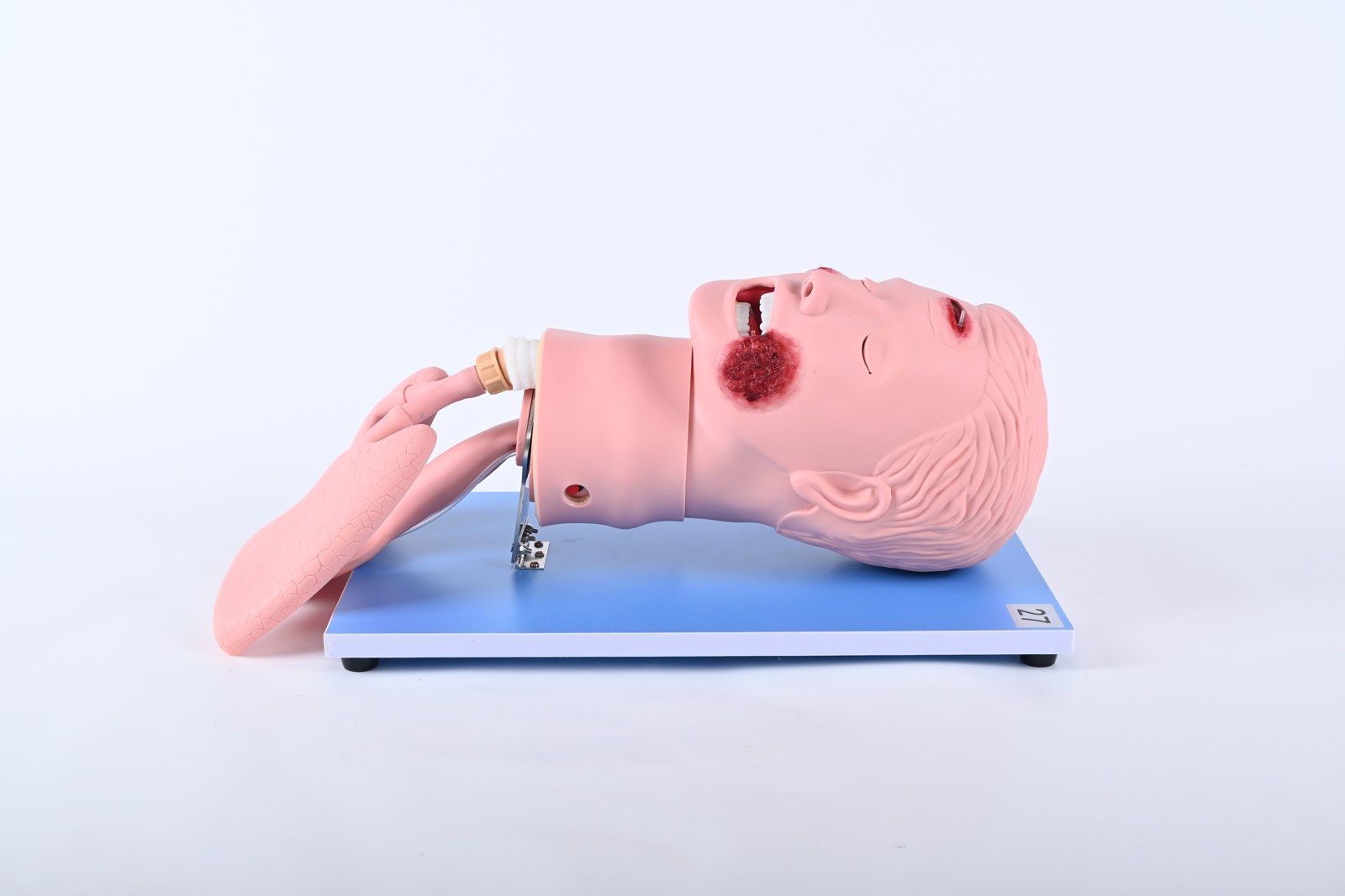 Advanced Airway Management Simulator with Wounds - PC-CLE002.03