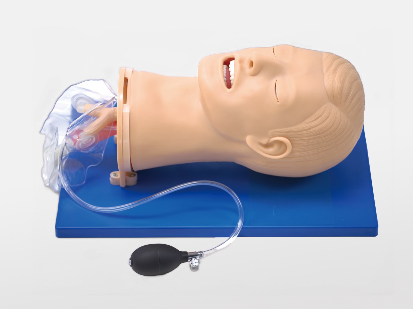 Airway Management Model - PC-CLE002.04