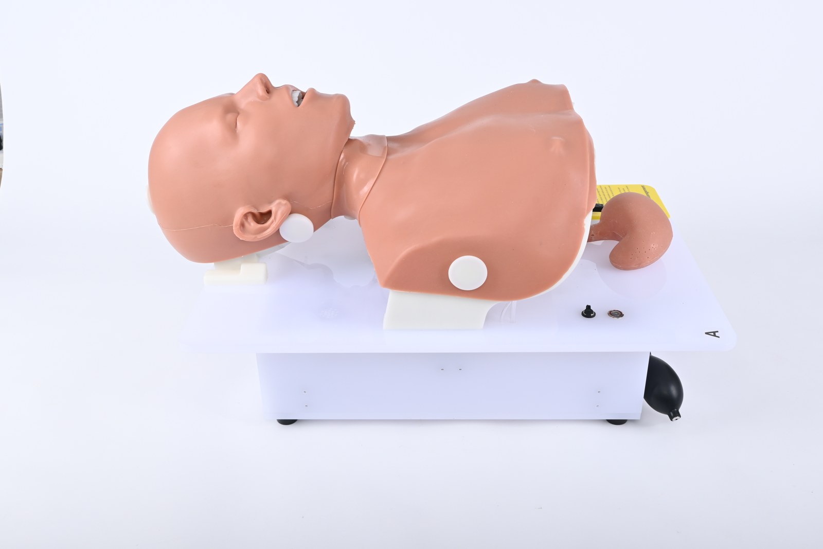 Advanced Airway Trainer - PC-CLE003.02