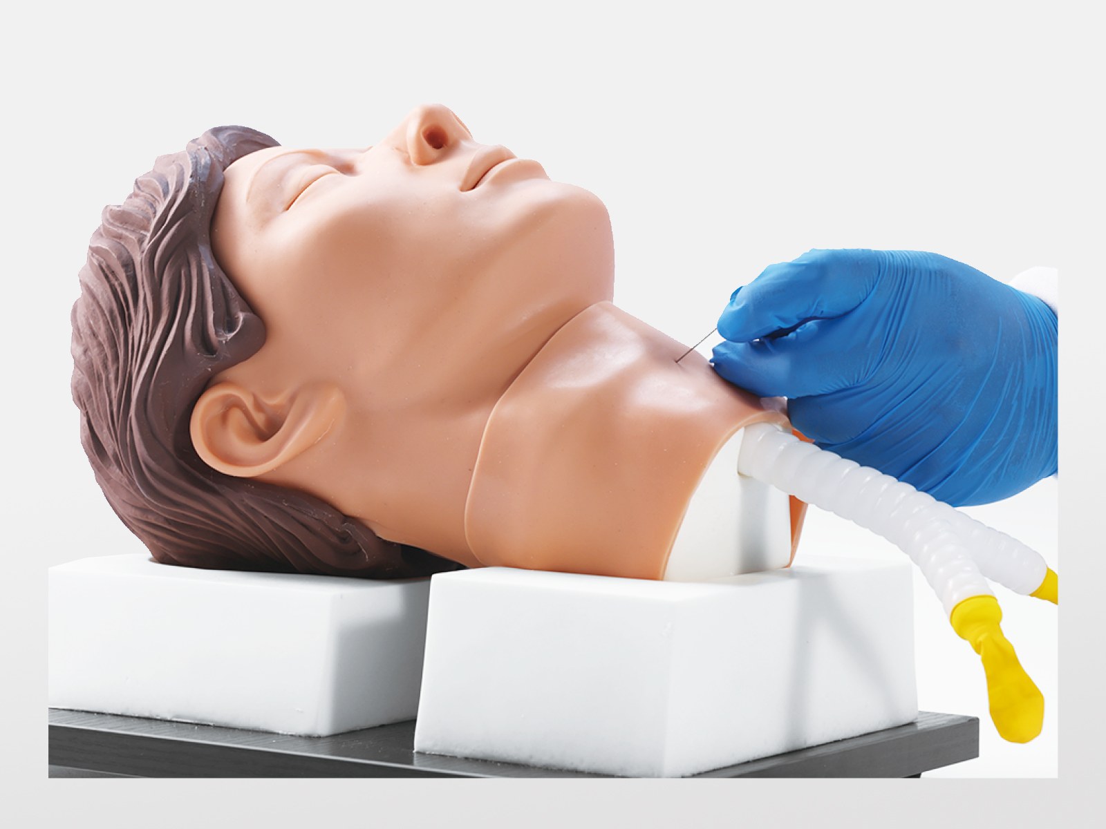 Cricothyrotomy and Tracheostomy Trainer - PC-CLE007.01