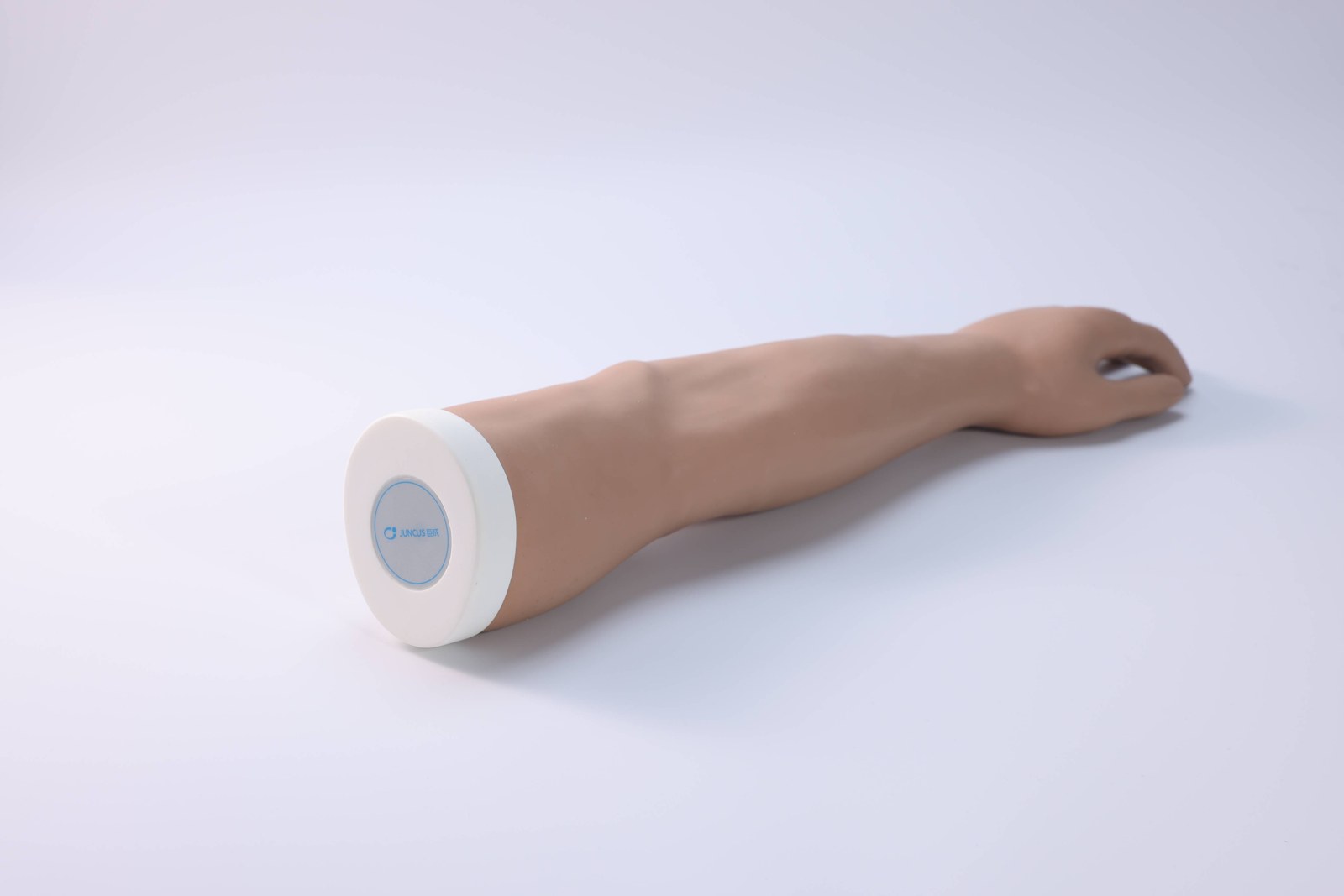 Forearm Fracture Model - PC-CLE008.03