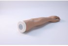 Forearm Fracture Model - PC-CLE008.03
