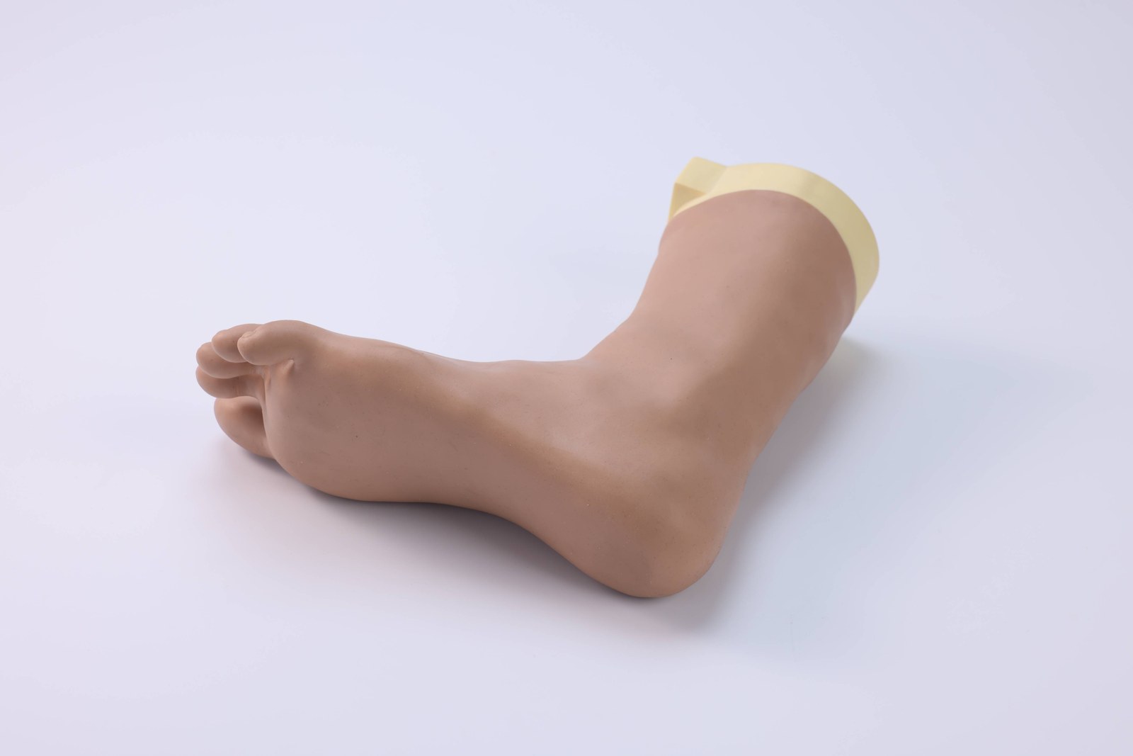Foot and Ankle Joint Block Model - PC-CLE013.01