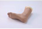 Foot and Ankle Joint Block Model - PC-CLE013.01