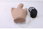 Pneumothorax Puncture Model - PC-CLE023.01