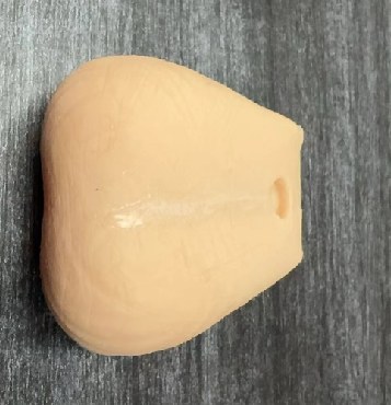 Testis Diagnosis Model - PC-CLE062