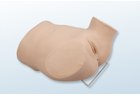 Advanced Gynecologic Examination Trainer-Plus - PC-GYE001.04