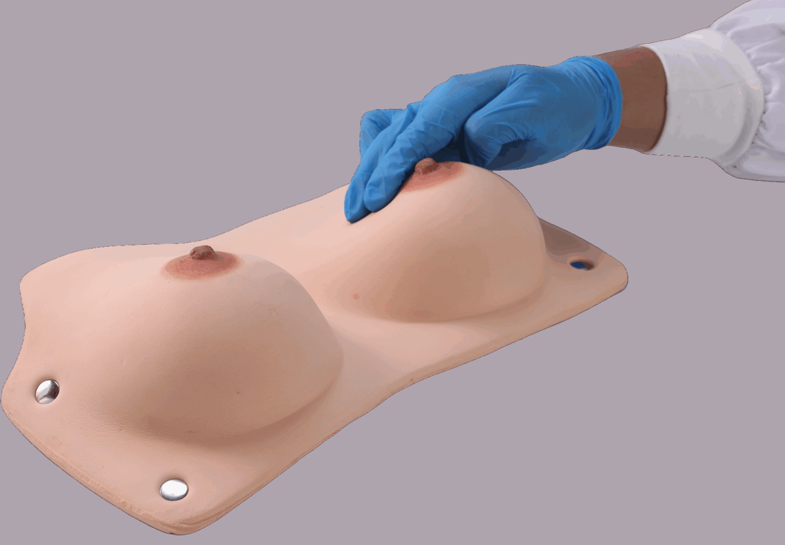 Wearable Breast Self-examination Model - PC-GYE002.01