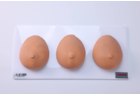 Breast Examination and Massage Teaching Model - PC-GYE002.04